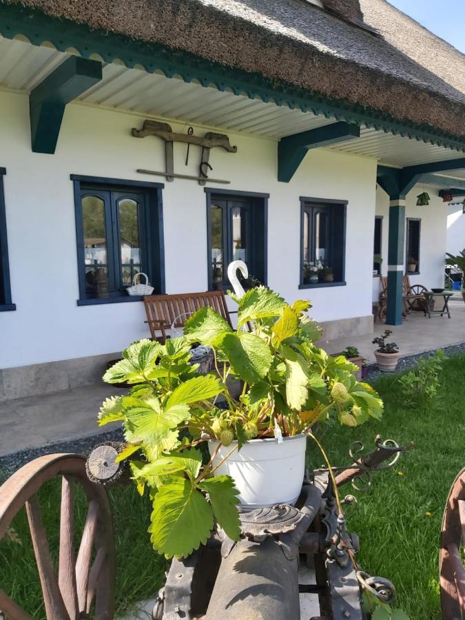 Agropensiunea Beluga Gorgova Bagian luar foto