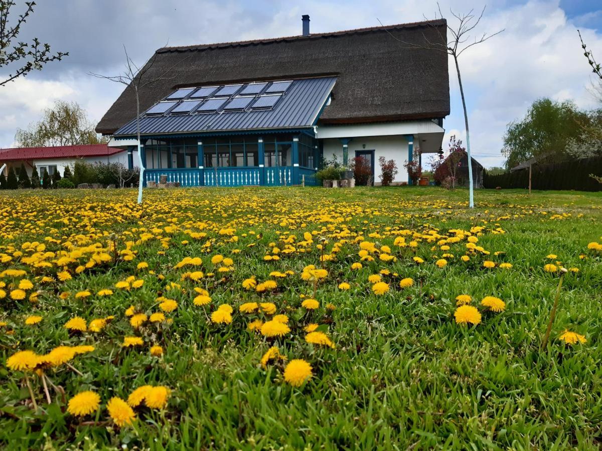 Agropensiunea Beluga Gorgova Bagian luar foto