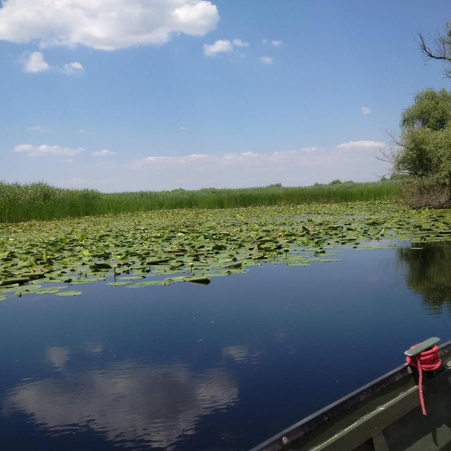 Agropensiunea Beluga Gorgova Bagian luar foto